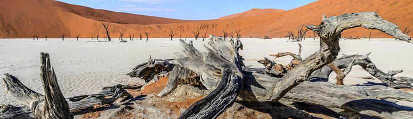 Sossusvlei (Dead Vlei), Namibia.