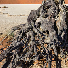 Sossusvlei (Dead Vlei), Namibia.