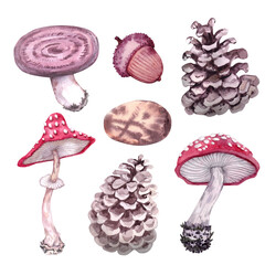 Watercolor set of autumn forest elements