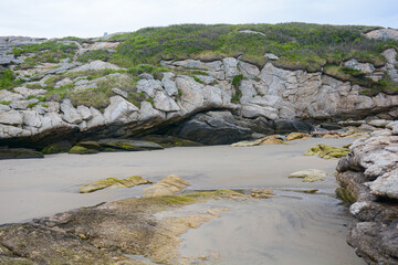Smooth oceanside rocks with bits of greenery and seaweed.