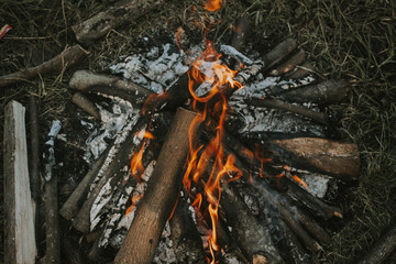 the coals of a campfire in the forest closeup