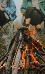 the coals of a campfire in the forest closeup