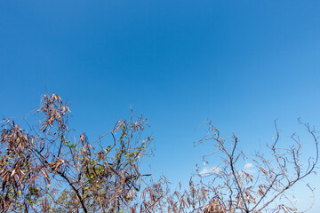 clear blue sky background,clouds with background.