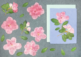 Page from an old photo album. Flowers azalea. Scrapbooking element decorated with leaves, flowers and petals flowers. For cards, invitations und congratulations. Use in scrapbooking, greetings.