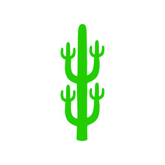 Obraz premium big beautiful cactus vector illustration design