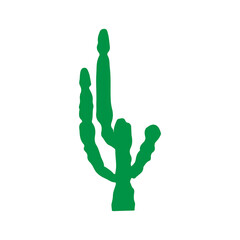 big beautiful cacti vector illustration design