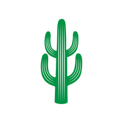 cacti vector illustration design