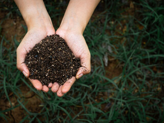 Ecology concept. Close up female hand holding organic soil full of natural matter above the dark...