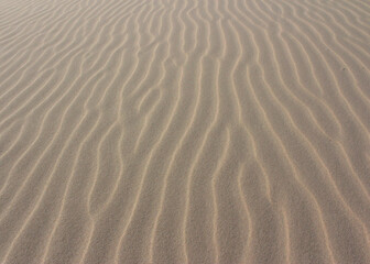 Fototapeta na wymiar Sand and wind texture.