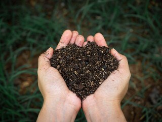 Ecology concept. Close up female hand holding organic soil full of natural matter above the dark green grass background.