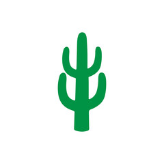 cactus vector illustration design