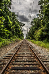 Fototapeta premium railroad tracks in the forest