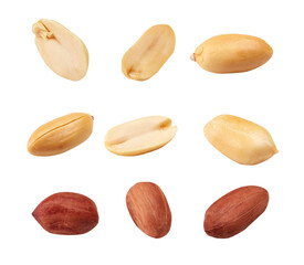 Collection of peanuts isolated on white background - Powered by Adobe
