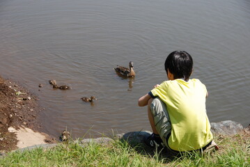 カルガモを撮影する少年