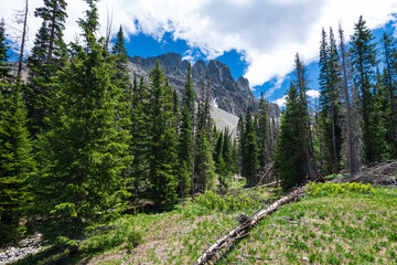 The Crags in State Forest State Park