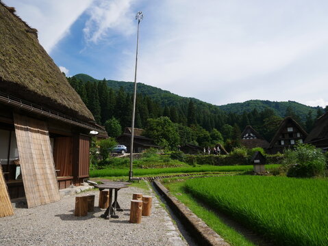 歴史的な家と田んぼ