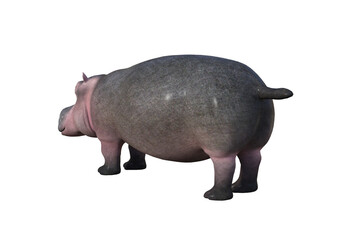 Cartoon character hippopotamus on a white background. Rendered in different angles. 3D illustration, 3D rendering.