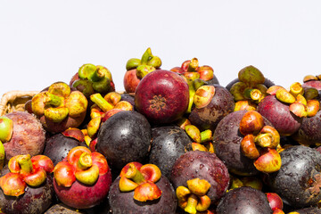 Ripe mangosteens and white background