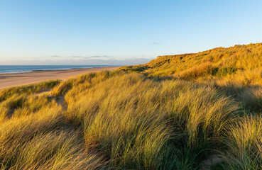 Sand Dunes at sunset by North Sea, Oostende (Ostend) city, Belgium.