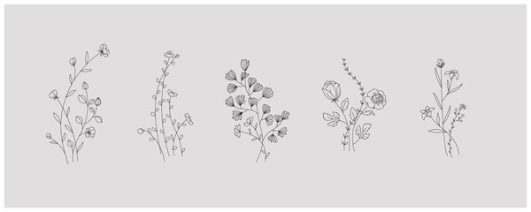Fototapeta minimal botanical graphic sketch line art drawing, trendy tiny tattoo design, floral elements vector illustration obraz