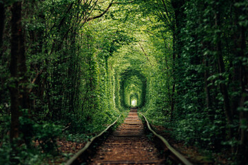 a railway in the spring forest tunnel of love