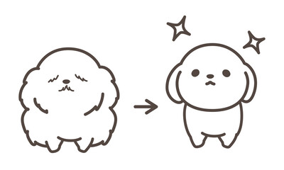 ドッグトリミング　before and after