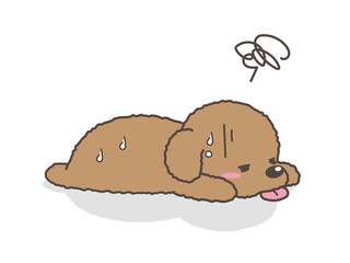 熱中症の犬　トイプードル