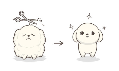 ドッグトリミング　before and after