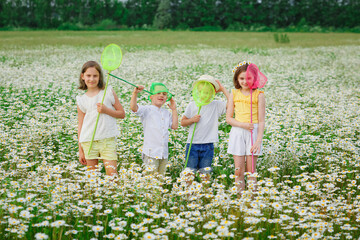 Happy children in a blooming daisy meadow with butterfly nets