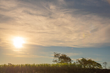Rural landscape in southern Brazil.