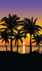 Obraz premium silhouettes of palm trees. sunset on a tropical island