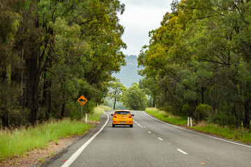 Yellow car with p plate driving down country road