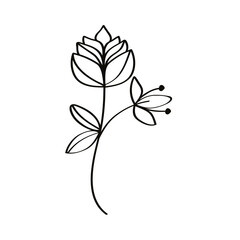 cute sketch flower