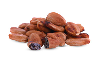 cocoa bean on white background