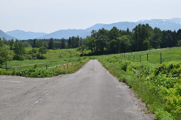 Obraz premium 山岳道路 山形県庄内