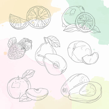 Sketch fruits. Vector hand drawn illustration isolate on watercolor background. Doodle pictures set. Strawberry, pear, peach, orange, lemon, apple, avocado.