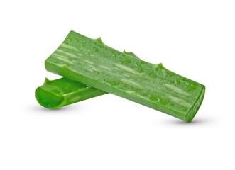 Aloe vera isolated on white background