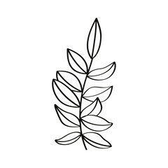 sketch leafs branch