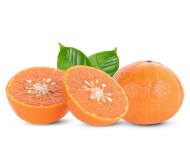 Orange fruits on white background