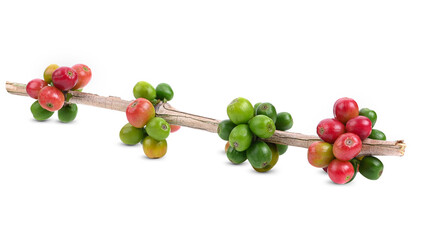 coffee been isolated on white background