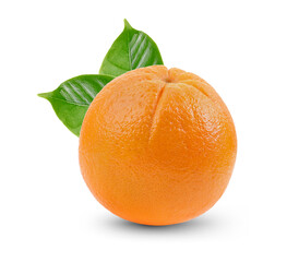 Orange fruits on white background