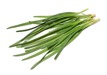 Fototapeta premium Leek on white background