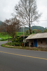 highway with green forest in the mountains background