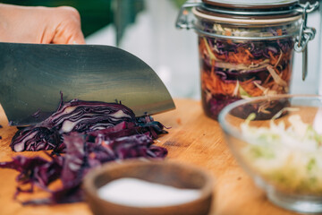 Vegetable Fermentation Process.