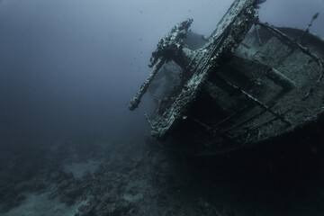 shipwreck in the sea