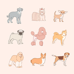 various dog breeds. hand drawn style vector design illustrations. 
