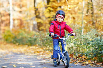Little kid boy in colorful warm clothes in autumn forest park driving a bicycle