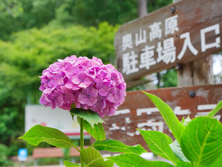 奥山高原の入り口