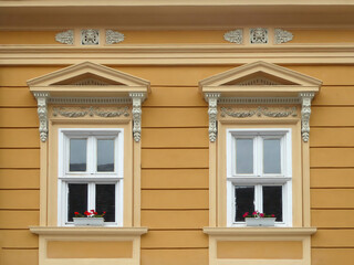 Two windows on yellow wall with flowers in flower pots