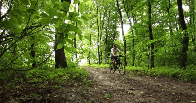 man riding a bicycle in the forest
